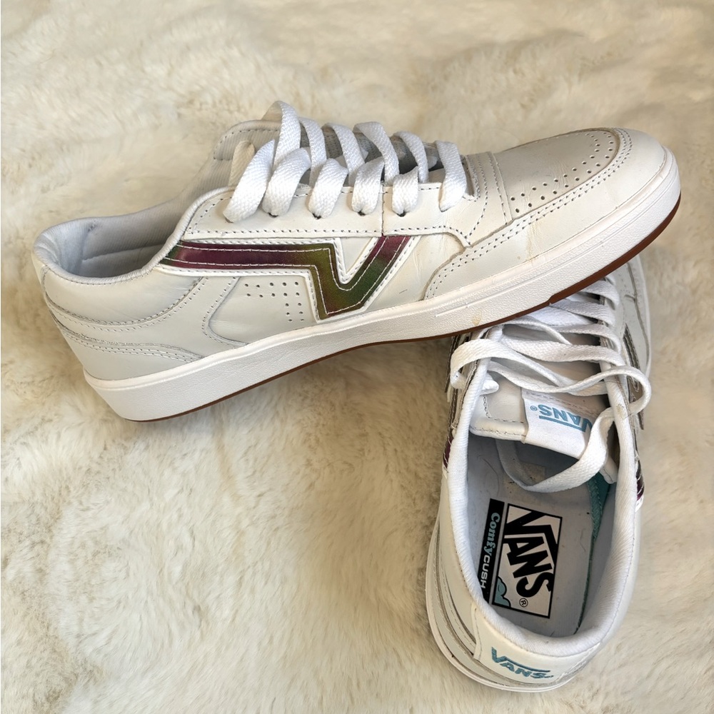 Vans lowland cc rainbow sneakers